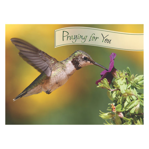 Hummingbirds Get Well Boxed Cards FT22722 front of card 2