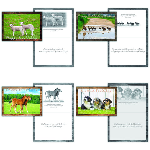 Birthday - Animal Friends Boxed Cards FT22829