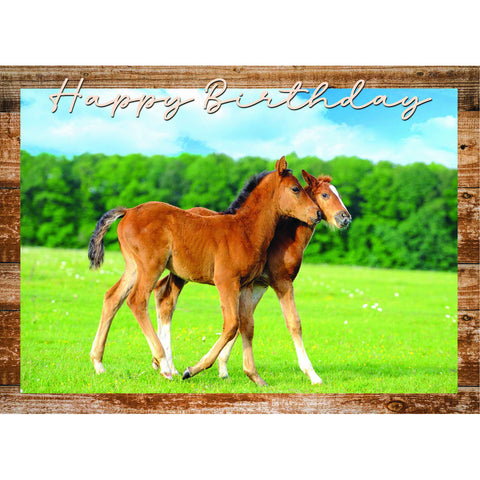 Birthday - Animal Friends Boxed Cards FT22829