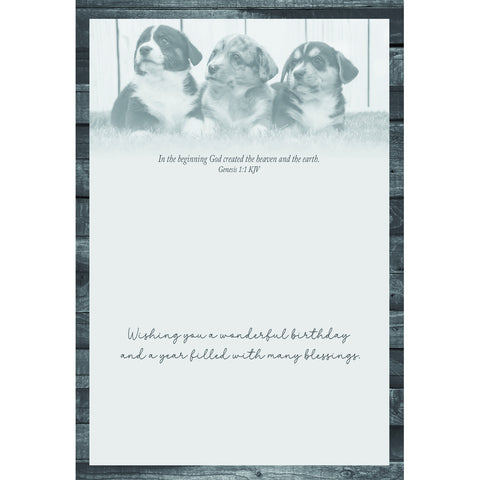 Birthday - Animal Friends Boxed Cards FT22829