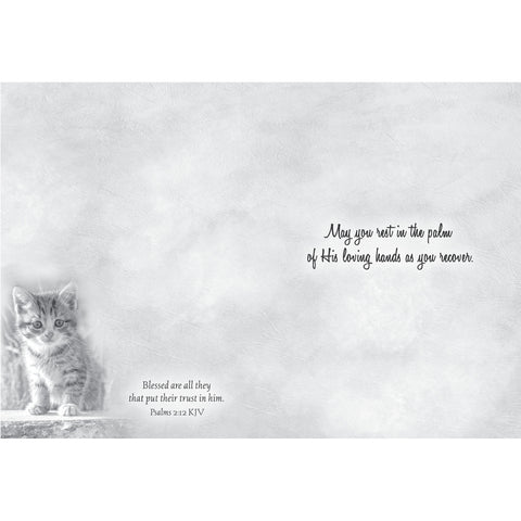 Get Well - Baby Animals Boxed Cards FT22830