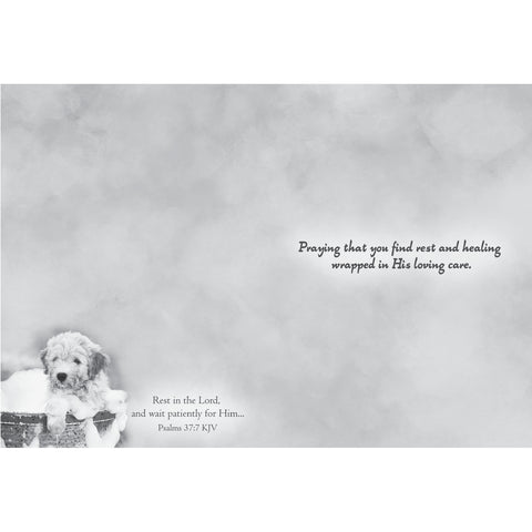 Get Well - Baby Animals Boxed Cards FT22830