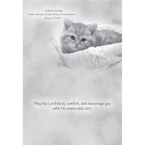 Get Well - Baby Animals Boxed Cards FT22830