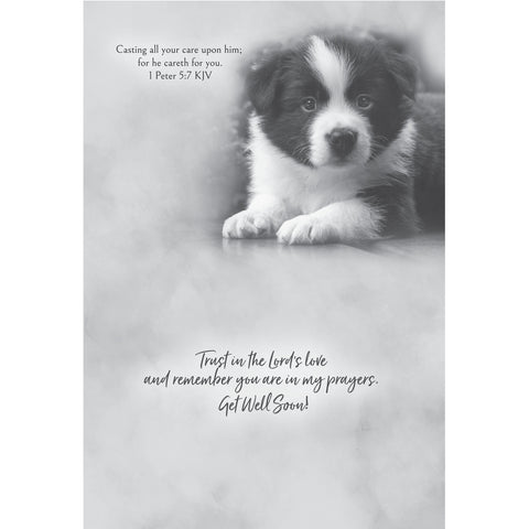 Get Well - Baby Animals Boxed Cards FT22830