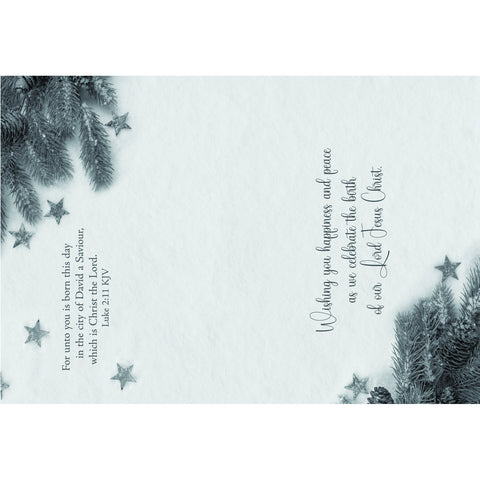 Holiday Blessings Christmas Boxed Cards FT22832