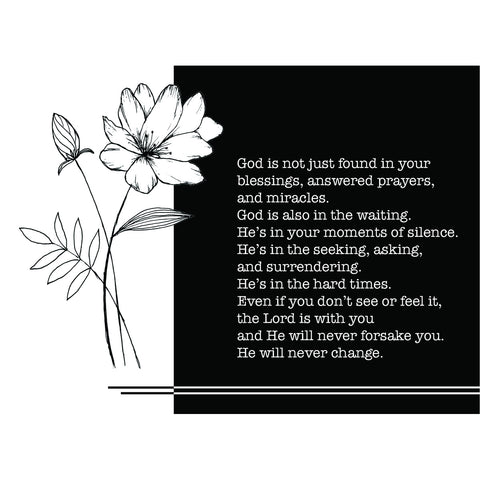 Encouragement - Trust In Him Boxed Cards FT22849
