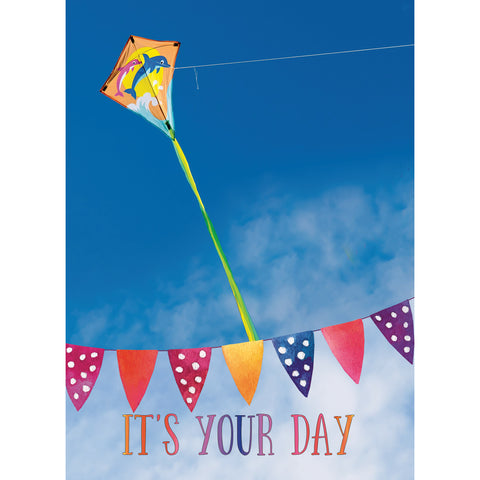 Birthday - Kites Boxed Cards FT22720