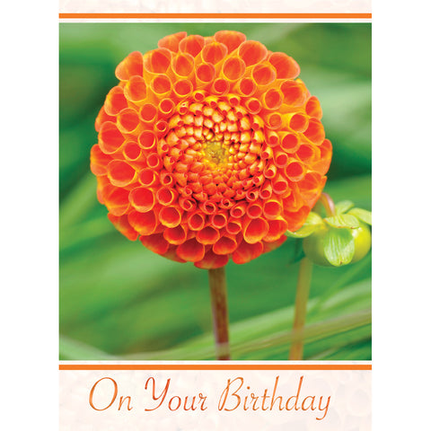 Birthday Dahlias Boxed Cards FT22759