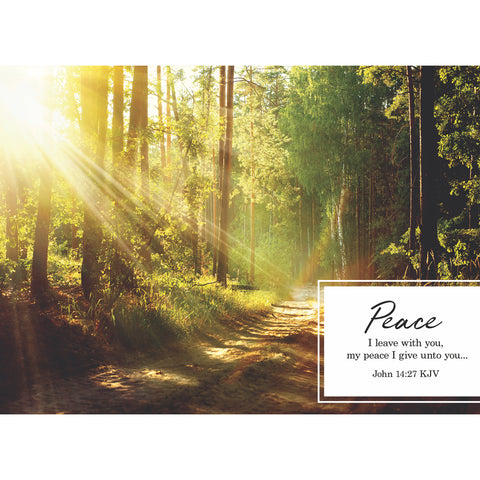Sympathy Sunrays Boxed Cards FT22761