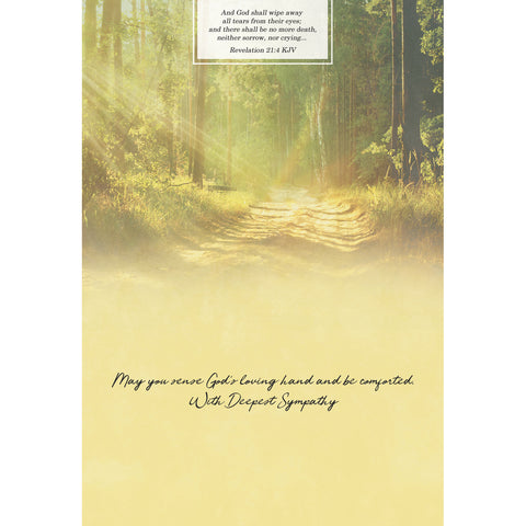 Sympathy Sunrays Boxed Cards FT22761