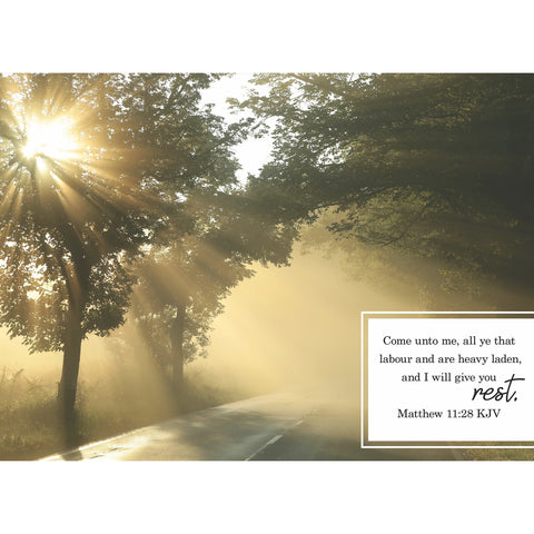 Sympathy Sunrays Boxed Cards FT22761