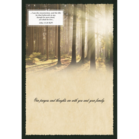 Sympathy Sunrays Boxed Cards FT22761