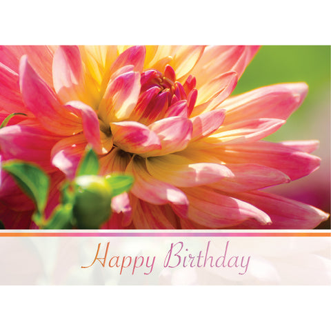 Birthday Dahlias Boxed Cards FT22759