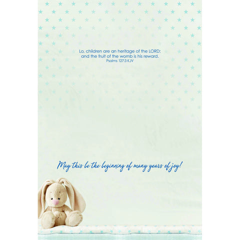 Baby - Small Wonder Boxed Cards FT22834