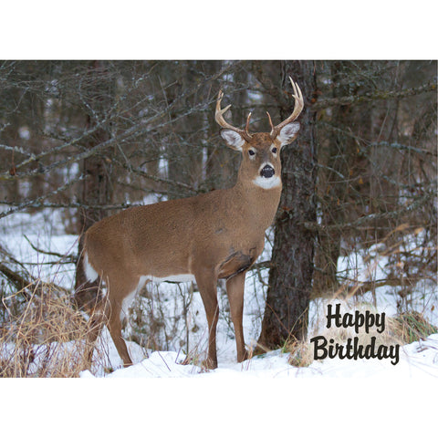 Birthday - Deer Boxed Cards FT22835