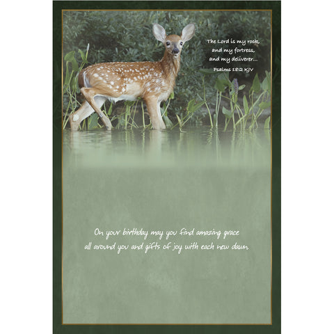 Birthday - Deer Boxed Cards FT22835