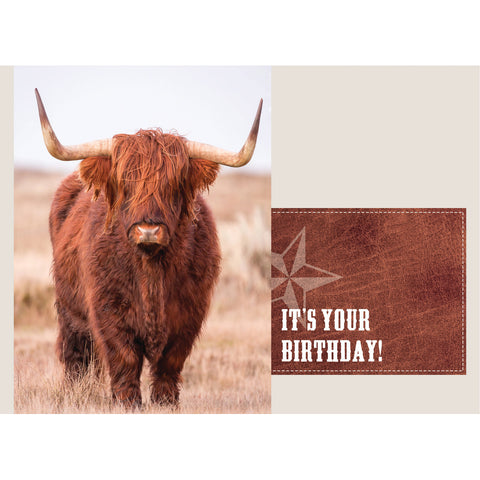 Birthday - Highlander Cows Boxed Cards FT22836