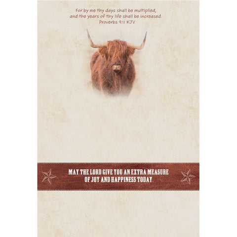 Birthday - Highlander Cows Boxed Cards FT22836