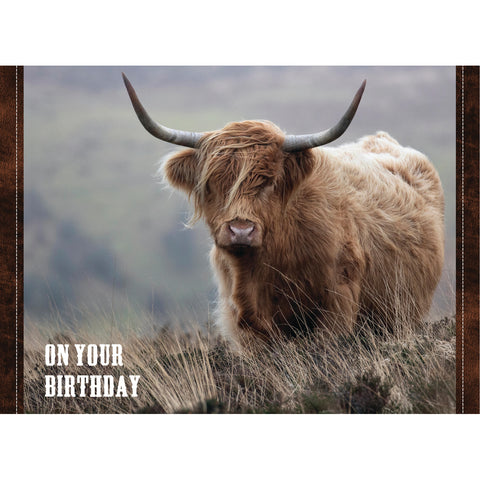 Birthday - Highlander Cows Boxed Cards FT22836