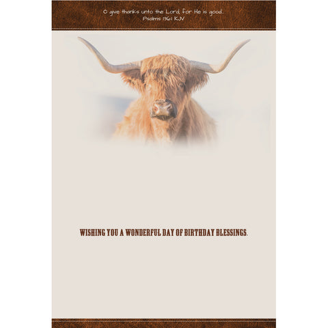 Birthday - Highlander Cows Boxed Cards FT22836