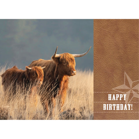 Birthday - Highlander Cows Boxed Cards FT22836