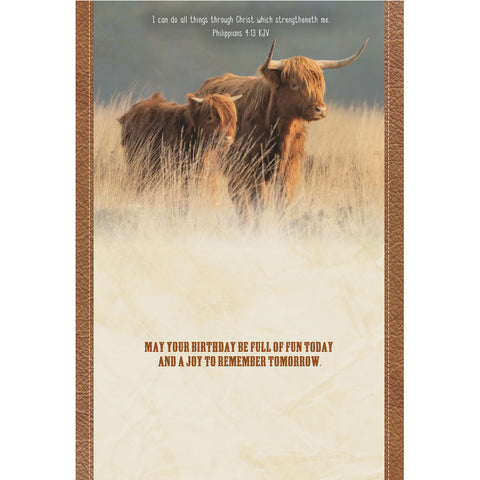 Birthday - Highlander Cows Boxed Cards FT22836