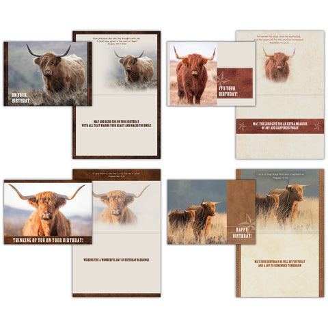 Birthday - Highlander Cows Boxed Cards FT22836