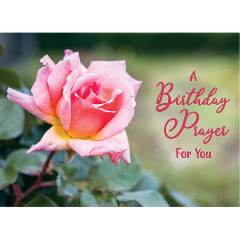 Birthday - Roses Boxed Cards FT22837