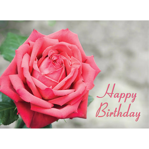 Birthday - Roses Boxed Cards FT22837