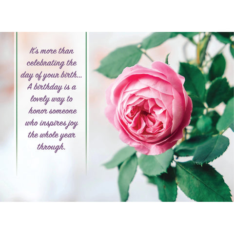 Birthday - Roses Boxed Cards FT22837