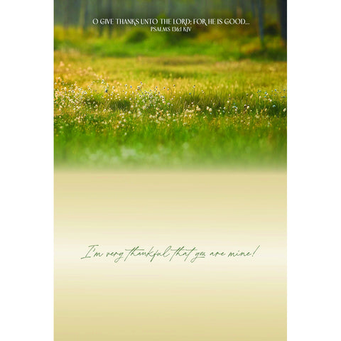 All Occasion - Grandparents Boxed Cards FT22845