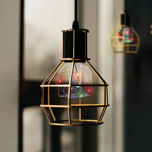 Bulbs in Decorative Light Fixtures