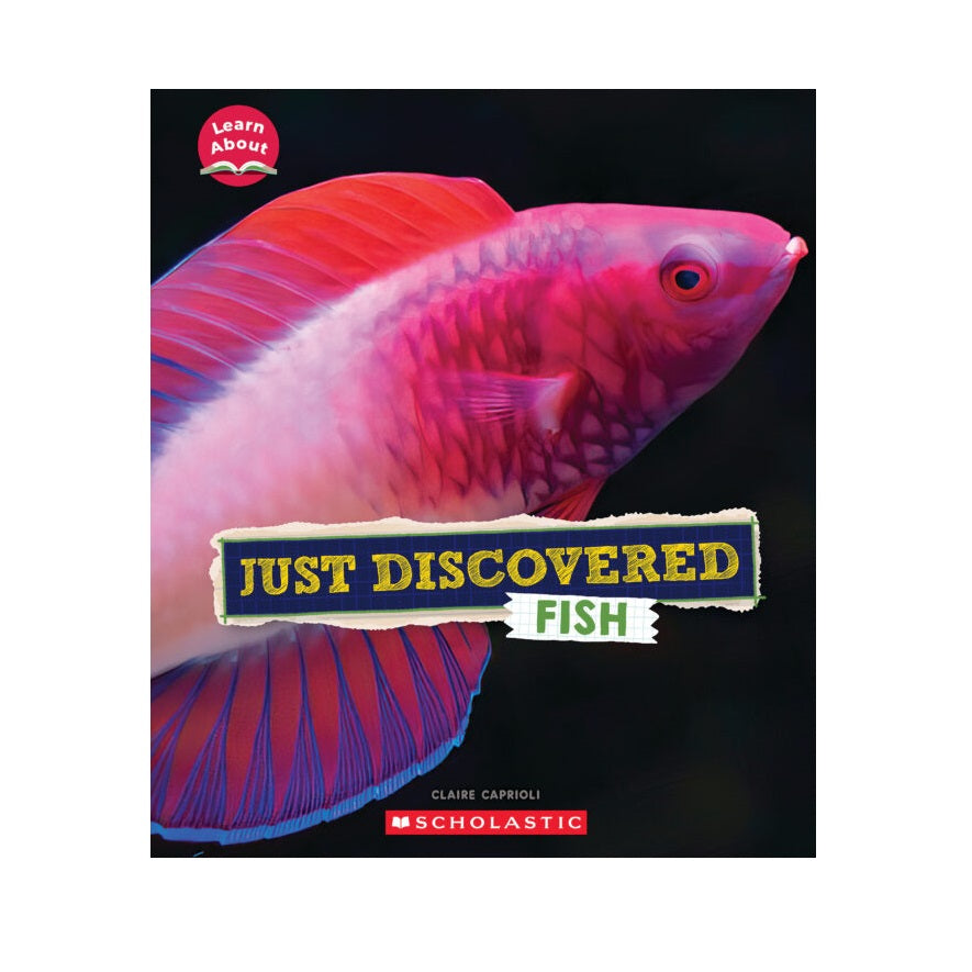 Just Discovered Fish 9781339020112