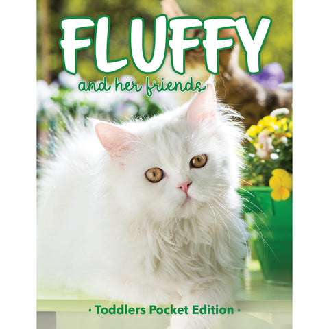 Toddler pocket book