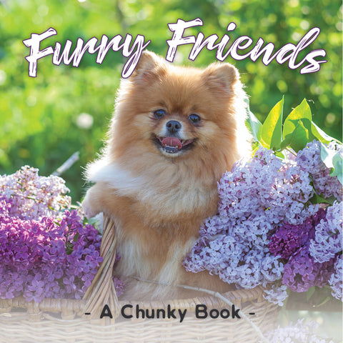 Furry Friends book