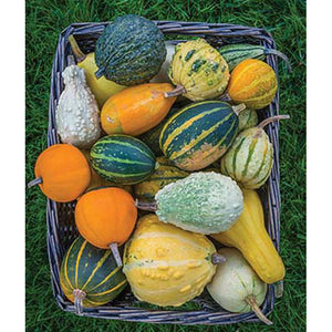 Basket of mixed gourds