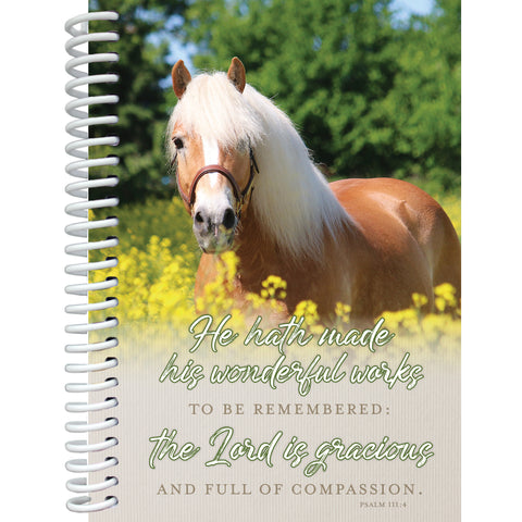 Gracious Notebook 5247