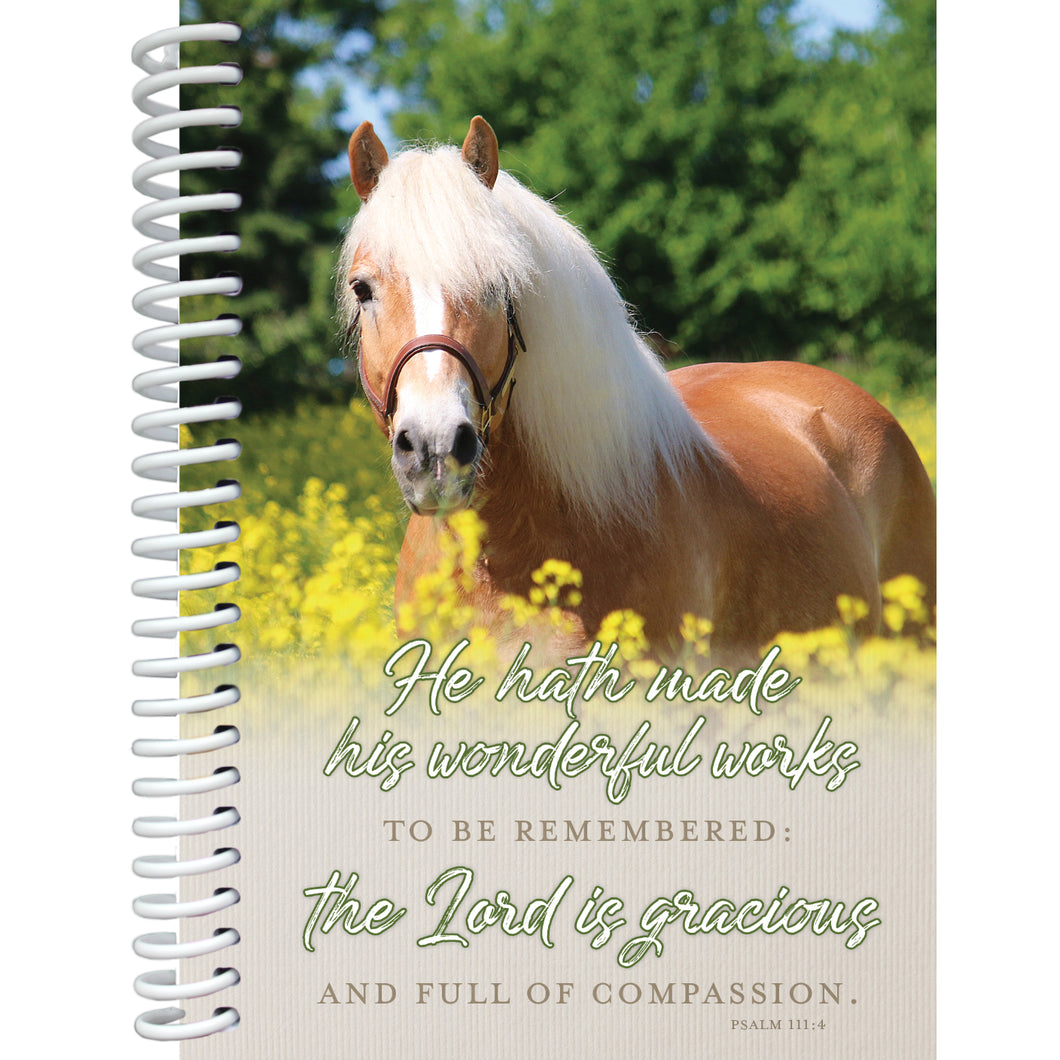 Gracious Notebook 5247