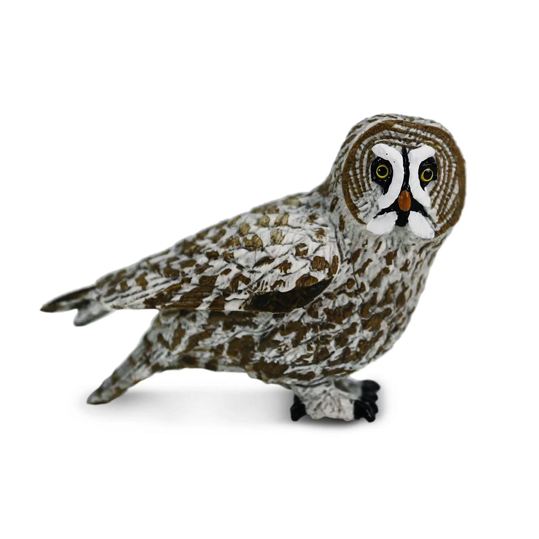 Great Grey Owl 100691