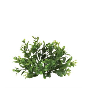 Green Boxwood Mini Wreath EBX1