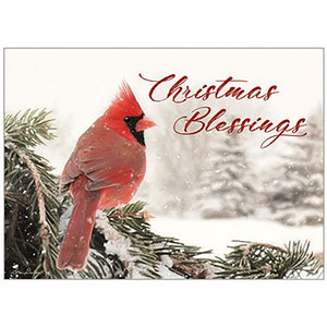 Winter Cardinal Christmas Card Outside