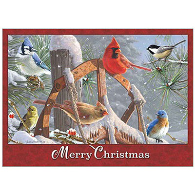 Fresh Snow Christmas Boxed Cards HBX79199