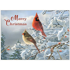 Cardinals View Christmas Boxed Cards HBX88210