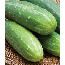 Cucumbers