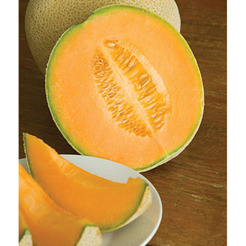Hearts of Gold cantaloupes