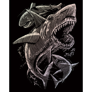 Sharks picture
