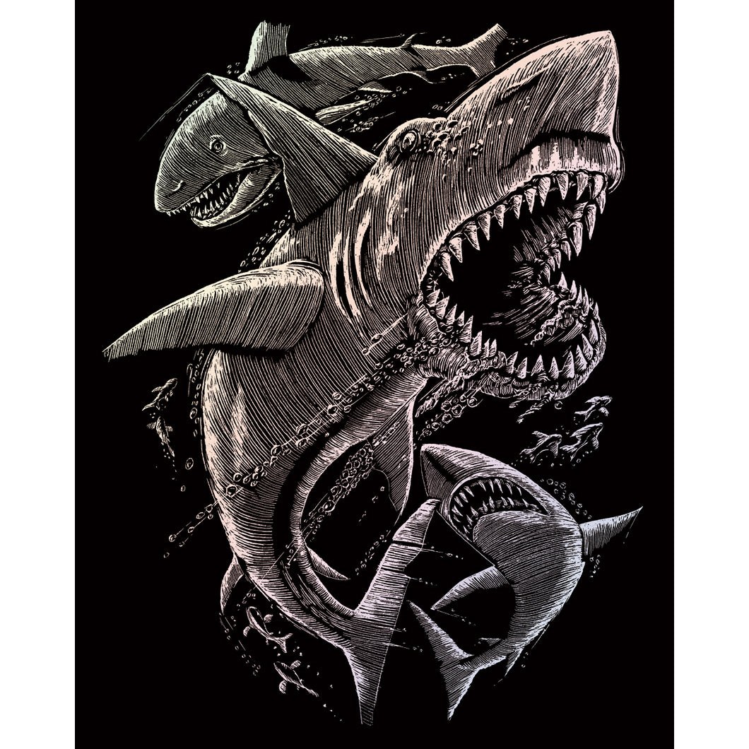 Sharks picture