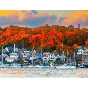 Harbor in the Fall 500-Piece Puzzle 33-01706