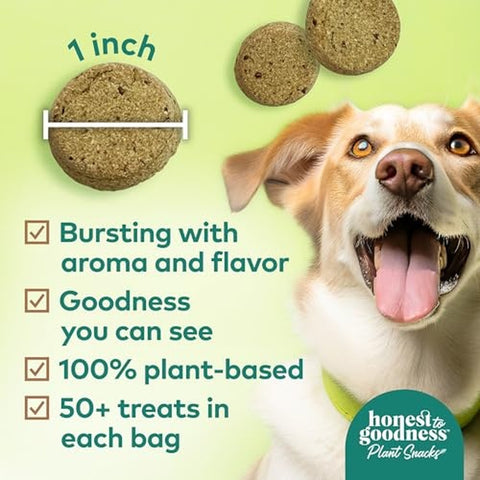 Plant Snacks Coconut & Flax Way to Glow Crunchy Dog Treats 8 oz