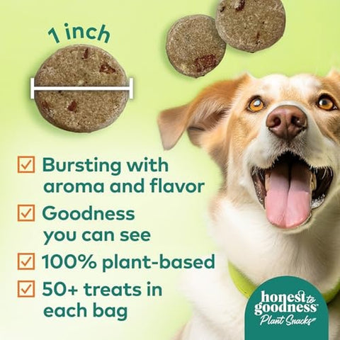 Plant Snacks Pumpkin & Cinnamon Mellow Belly Crunchy Dog Treats 8 oz